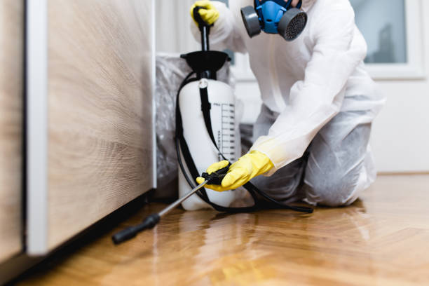 Best Affordable Pest Control Services  in Murrells Inlet, SC
