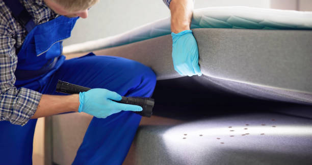 Best Termite Control Services  in Murrells Inlet, SC