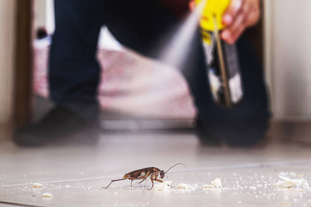 Pest Control for Restaurants in Murrells Inlet, SC